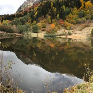 Goye komyu topraklar artvin sonbahar turu 4