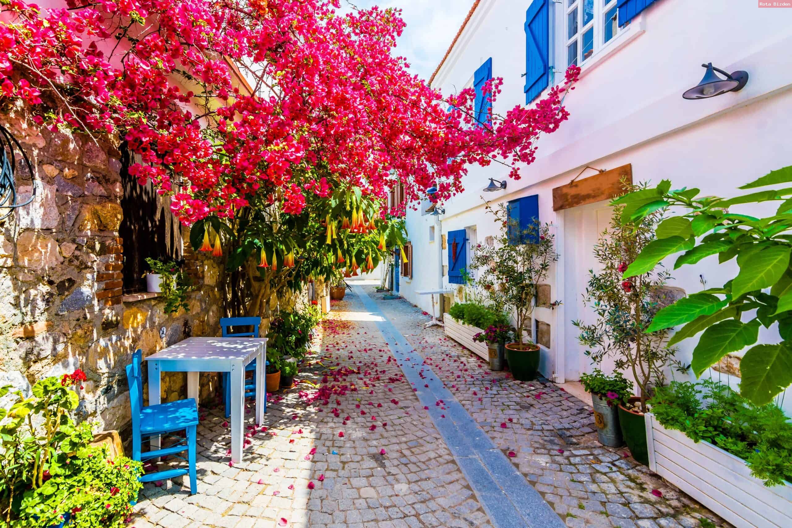 2 Festival Bir Arada Urla Enginar Festivali Ve Alaçatı Ot Festivali Turu