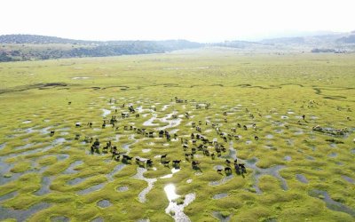 Menderesler Zamanı Taraklı Karagöl Trekking Turu