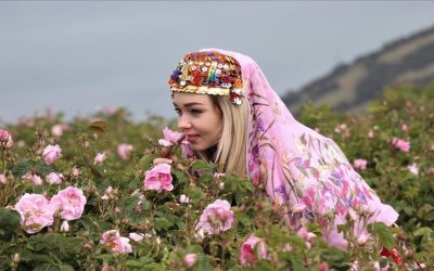 Isparta Gül Hasadı ve Pamukkale Turu