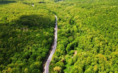 İğneada Longoz Ormanları & Dupnisa Mağarası ve Beğendik Köyü Turu