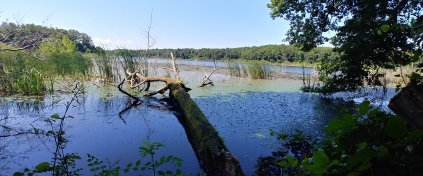 Günübirlik İğneada Longoz Ormanları & Dupnisa Mağarası Beğendik Köyü Trekking Turu