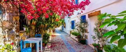 2 Festival Bir Arada Urla Enginar Festivali Ve Alaçatı Ot Festivali Turu