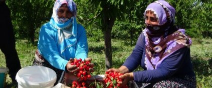 İznik Tacir Köyü Kiraz Doğa Yürüyüşü Gezisi