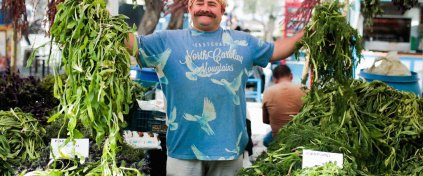 Alaçatı Ot Festivali Turu