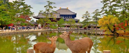 Büyük JAPONYA Turu Her Şey Dahil