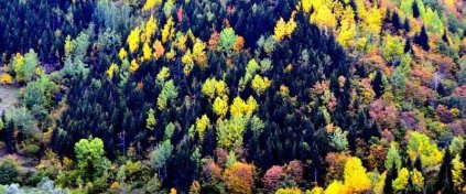 Artvin Yaylaları Turu - Karadeniz Yayla Turu