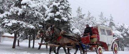 Günübirlik Abant ve Gölcük Gölü Turu