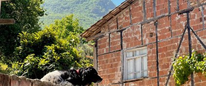 Bursa'da 5 Köy 1 Göl Zeytin Hasadı ve Kolay Doğa Yürüyüşü Turu